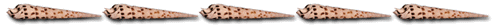 seashell bar image