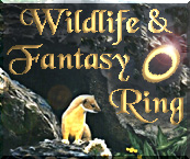 Wildlife & Fantasy