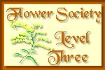 Level 3