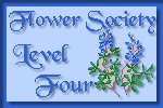Level 4
