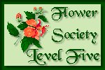 Level 5
