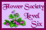Level 6