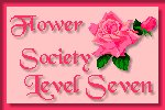 Level 7