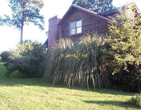 --left front side view--