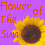 --Flower of the Sun--