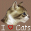 --I Love Cats--