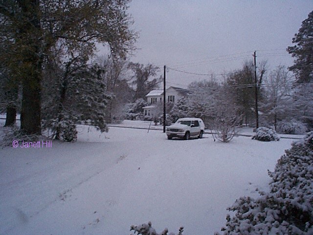 --looking out towards the road from the kitchen door--