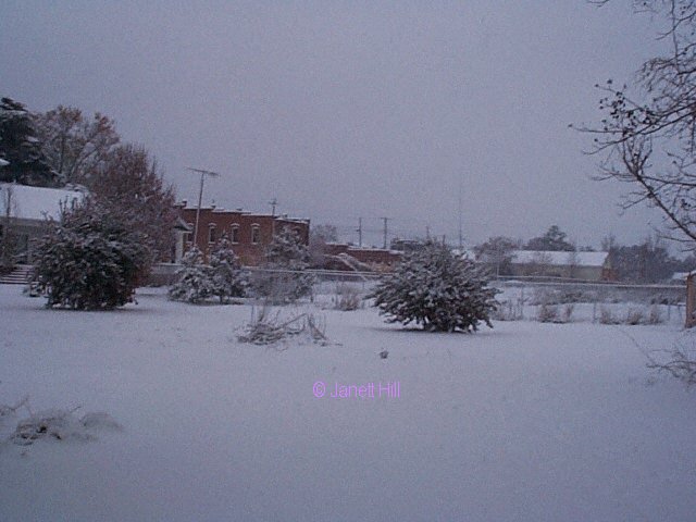 --the back yard from the right side of the house--