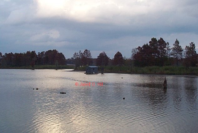 --House boat @ Santee Cooper--