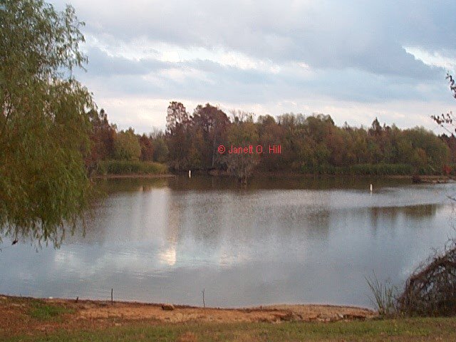 --Santee Cooper--