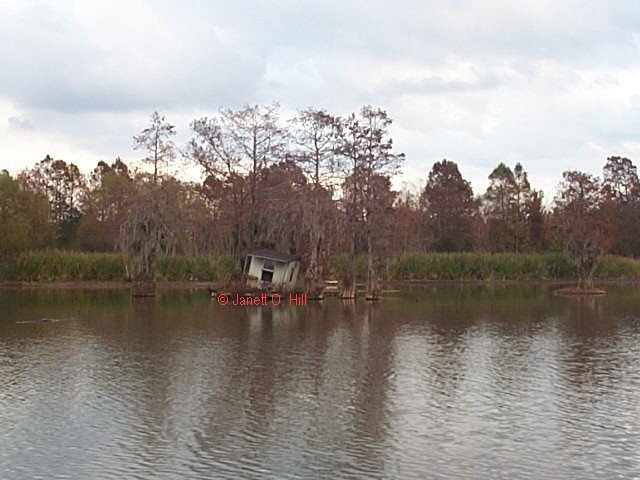 --Santee Cooper Lake--
