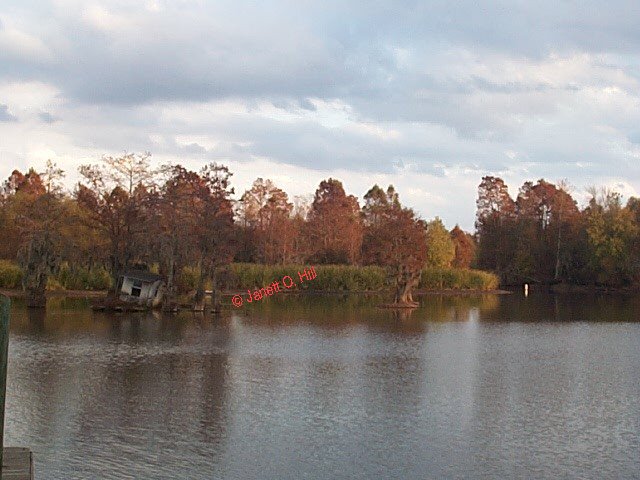 --Santee Cooper Lake--