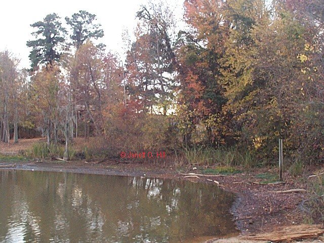 --Santee Cooper Lake--
