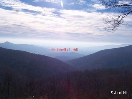 --Valley View--