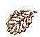 58x54