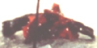 close-up of campfire