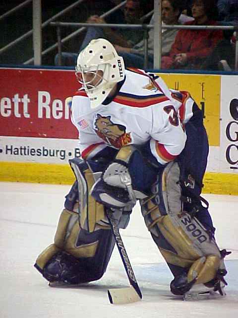 sea wovles hockey net