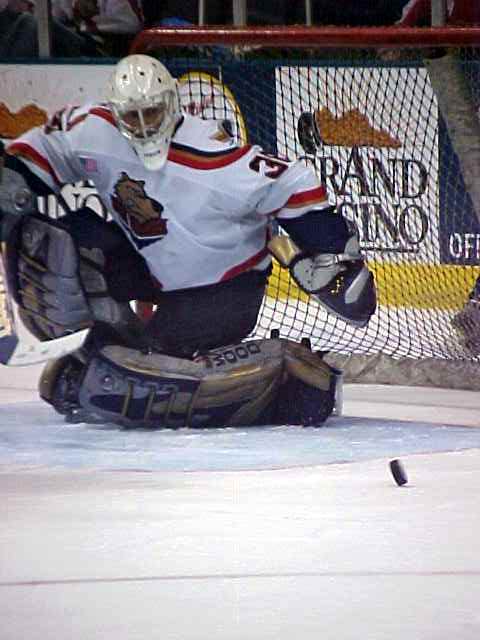 sea wovles hockey net