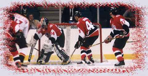 in action with t-sharks