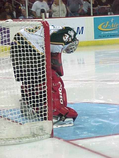 seawolveshockey.com
