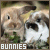 BUNNIES