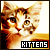 Cats & Kittens