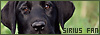 Sirius Black