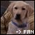 The Truth About Will & Dogs - Will & Grace