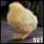 Chick & Duck - Friends