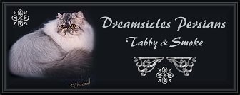 BannerDreamsicles.jpg (12899 bytes)