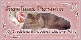 BannerSerafinaz.jpg (14915 bytes)