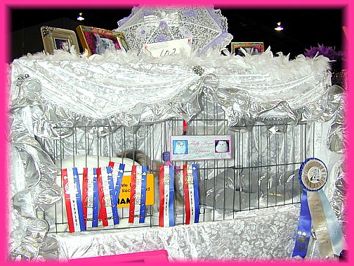 CatShowNov9-2002d.jpg (79290 bytes)