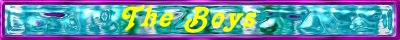 bannertheboys.jpg (20986 bytes)