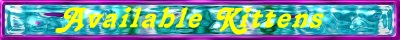 baravailable.jpg (23065 bytes)