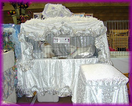 catshowmay25-2002a.jpg (65287 bytes)