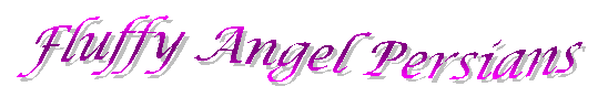 fluffyangellogo.gif (4227 bytes)