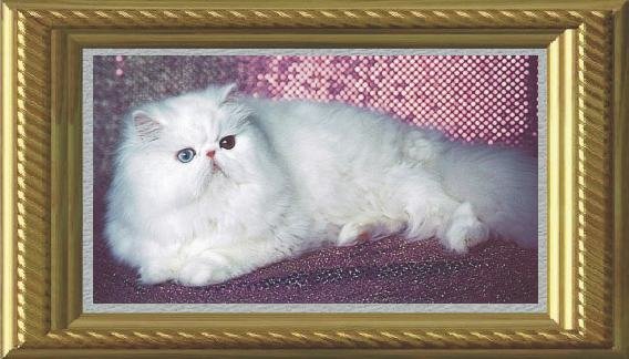 vanillamay2.jpg (50481 bytes)