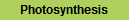 Photosynthesis