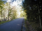 PA050004asm.jpg