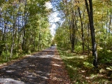 PA050010sm.jpg