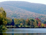 PA110001esm.jpg