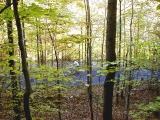 PA110005esm.jpg