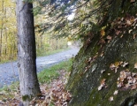 PA110006esm.jpg