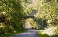 PA110012esm.jpg