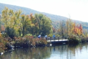 PA110023asm.jpg