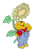 Pooh and flower