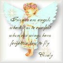 Thank You Cindy!