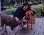 Amber, Celeste and Chance, another goat friend