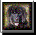 Judith Nowland's Alaska Kennel