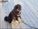 Savannah is still pretty small